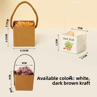 Sac d'emballage cadeau portable en papier kraft imperméable pour plantes et fleurs, boîte pliante pour plantes succulentes en pot, idéal pour l'exportation transfrontalière