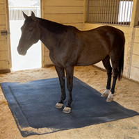 Matelas Confortable pour Écurie de Cheval, Lit pour Cheval, Coussin Ultra Confortable pour Boîte à Chevaux, Tapis de Repos pour Écurie