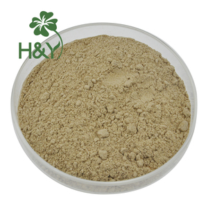 مستخلص أوراق المانجو عالي الجودة من هيلثواي، مسحوق مستخلص أوراق المانجو بدرجة غذائية - Product Image 3