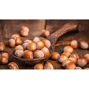 Olio di Noci di Avellana Raffinato per Uso Cosmetico e Alimentare 1000 L Spagna Zenat International Group - Product Image 3