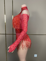 Justaucorps de scène sexy pour femme adulte, orné de strass et de franges, en spandex et polyester à manches longues