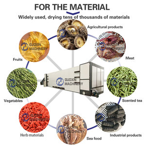 Séchoir à bande maillée haute efficacité pour fruits, machine de séchage à bande maillée pour tranches de mangue, machine de séchage pour tranches d'orange - Product Image 2