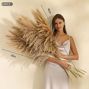 Hierba de Pampas Natural, Serie de Venta Caliente, Flor Seca en Bolsa de Plástico, Decoración para el Año Nuevo Chino y Pascua - Product Image 2