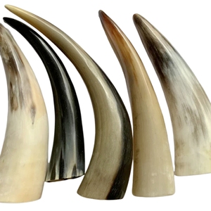 Máquina <span class=keywords><strong>de</strong></span> Masaje Corporal con Certificación CE Shawphy, Ventosas <span class=keywords><strong>de</strong></span> Vacío, Cilindro <span class=keywords><strong>de</strong></span> Raspado, Ventosas Hijama, Tabla <span class=keywords><strong>de</strong></span> Raspado Gua Sha, Cuerno <span class=keywords><strong>de</strong></span> Toro - Product Image 2