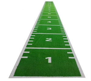 <span class=keywords><strong>Gazon</strong></span> synthétique personnalisable pour salle de sport, résistant aux UV, imperméable, ignifuge, antistatique, absorbant les chocs <span class=keywords><strong>et</strong></span> résistant à l'usure - Product Image 2