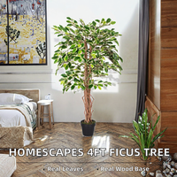 HOMESCAPES Arbre artificiel Ficus variegaté de 1,20 m à 1,50 m, plante d'intérieur avec tronc en bois véritable, feuilles réalistes, pot décoratif pour la maison