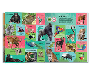 Livre sonore interactif éducatif personnalisé pour enfants, couverture rigide, <span class=keywords><strong>faits</strong></span> amusants, impression offset, carton artistique - Product Image 2