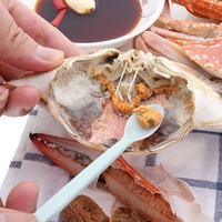Outil multifonctionnel pour décortiqueur de noix et fruits de mer Craquelins de homard Craquelins de crabe en plastique