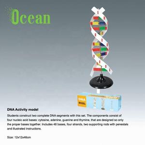 Wissenschaft <span class=keywords><strong>DNA</strong></span>-Moleküls truktur biologisches Modell Hersteller buntes <span class=keywords><strong>DNA</strong></span>-Molekular modell - Product Image 5