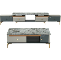 Ensemble de meubles de salon, design luxueux, meuble TV moderne, table basse, support en acier inoxydable doré, armoire en bois