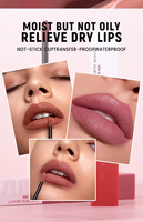 Gloss à lèvres mat vegan waterproof à marque privée, pigmenté, non collant, lisse, vente en gros