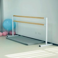 Barre de presse de jambe mobile de conception moderne professionnelle barre de danse pour enfants à usage domestique pour salle de danse en salle de classe en métal Durable