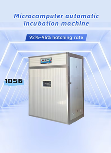 Factory Wholesale 1056 Incubators <b>Egg</b> Hatching <b>Machine</b> Fully Automatic High Quality Incubator <b>Machine</b> for Hatching <b>Eggs</b> - Product Image 3