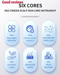 Analyseur de cuir chevelu à vente chaude 2025, détection du spectre à quatre lumières, nano-pulvérisation pour salon de coiffure - Product Image 3