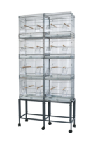 Cage à oiseaux en métal, grande cage à perroquets, portable, durable, avec revêtement en poudre, réglable, facile à assembler, design simple et solide