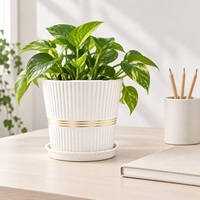 Pot de fleurs en céramique minimaliste moderne avec plateau, style nordique, pour plantes succulentes, décoration maison et bureau