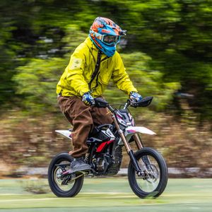 Motocicleta Eléctrica <span class=keywords><strong>de</strong></span> Competición Sur Ron Hype Bee 2025, 5000W, Batería <span class=keywords><strong>de</strong></span> Litio, Vehículo Todoterreno Juvenil, Cuadro <span class=keywords><strong>de</strong></span> Acero, Motocross - Product Image 5