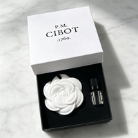 Diffuseur d'arômes Finru en pierre, ensemble d'huiles parfumées suspendues, fleur en céramique, désodorisant longue durée pour la maison et le placard, cadeau personnalisé avec logo