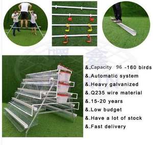 Cage <span class=keywords><strong>de</strong></span> volaille pour animaux <span class=keywords><strong>de</strong></span> ferme, comprend une Cage 2 m, un équipement horticole pour élevage des poules, une couche automatique, pour les vente, convient aux poules - Product Image 2