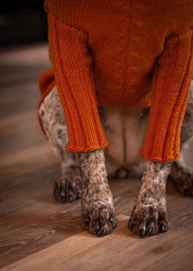 Qiqu-suéter personalizado para mascotas, Jersey de invierno con cuello alto, para perro - Product Image 3