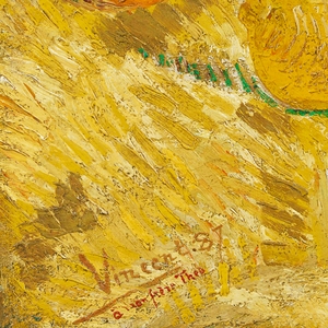 Reproduction de niveau muséale du tableau « Poires et raisins » de Vincent Van Gogh, toile haute résolution, écologique et résistante aux UV - Product Image 5