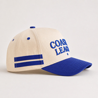 Casquette de baseball bicolore en coton structuré avec broderie 3D et bande latérale contrastante – Vente en gros