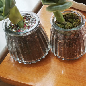 Transparent Glass Succulent <b>Vase</b> <b>Mini</b> Plant Pot Wide Mouth Desktop Use Minimalist Design For Home Decor - Product Image 2