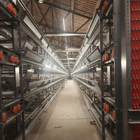 Équipement avicole moderne haute densité : Cages à poules pondeuses en batterie de type H entièrement automatiques et efficaces