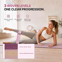 Ensemble de Pilates à domicile ProCircle 8 pièces pour femmes, kit de Pilates rose parfait avec anneau magique, ballon de Pilates, bandes de résistance tissées et chaussettes