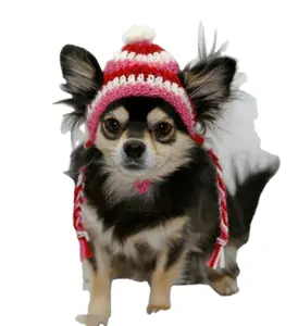 Chapeau de chien tricoté à la main, chapeau d'hiver pour animaux de compagnie