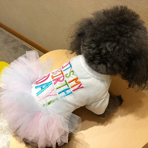 Doe Pet-ropa para perros y gatos, vestido de falda de malla <span class=keywords><strong>Sexy</strong></span> para perros pequeños, novedad, primavera y verano, gran oferta - Product Image 3