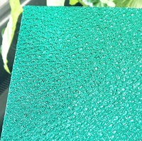 Feuille de polycarbonate Feuille gaufrée Policarbonate/feuilles de plastique