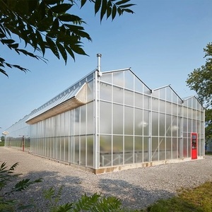 Large Scale Cost Effective PO <b>Plastic</b> <b>Sheet</b> Covering Agriculture Commercial Tunnel Multi Span Film Greenhouse - Product Image 3