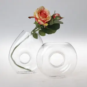 Donut Transparent Glass Vase Minimalist Hydroponic Plant Floral Decoration