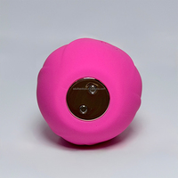 Nouveau stimulateur clitoridien en forme de rose, jouet sexuel, 10 modes, rechargeable, étanche, vibrateur rose pour femmes