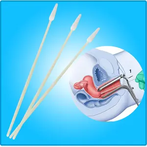 일회용 의료 멸균 견본 컬렉션 자궁 샘플 면봉