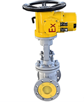 Vanne à opercule électrique à succès DN100 avec actionneur motorisé modulateur multi-tours et retour 4-20mA pour eau, huile, gaz (OEM)