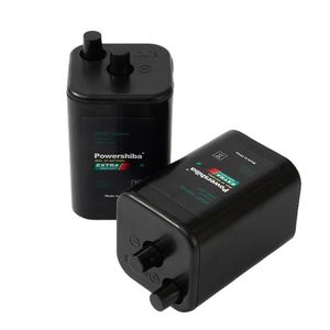 Super Qualität 6V Carbon Zink Batterie 4 R25 für Spielzeug Haushalts geräte Unterhaltung elektronik Elektro werkzeuge - Product Image 3