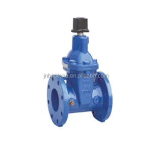 Wholesale Flange To ASME B16.1 CL 125 Resilient NRS Gate Valve NSF Approved