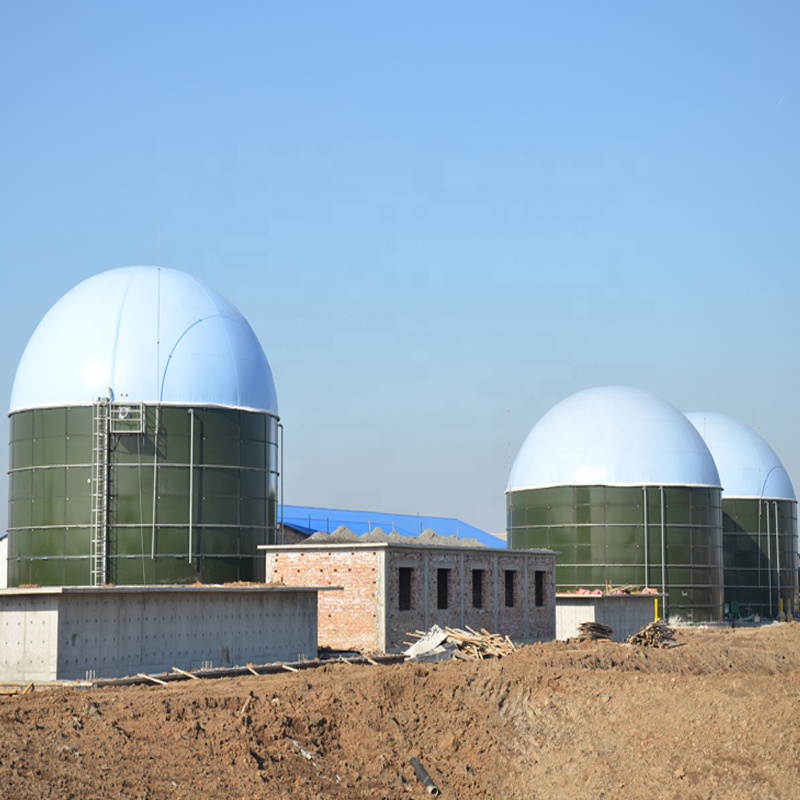 Biogas de tratamento de resíduos na fazenda de galinha planta para gerar eletricidade