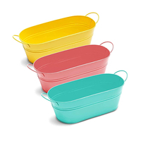 Seau en métal de couleur peinture plante fleur de croissance jardinage Pots de fleurs ovales seau en métal