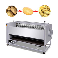 Aardappel Wasschil Wasmachine Fruit Industriële Machine Voor Het Schillen Van Cassave Schone Dunschiller Wasmachine Prijs