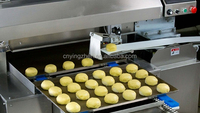 Machine à façonner automatique pour la fabrication de pain et de biscuits, laminoir à pâte - Production de produits céréaliers de grande capacité