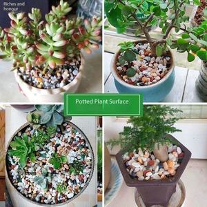 <span class=keywords><strong>Zéolite</strong></span> Concassée Lavée, Résistante à l'Usure et à la Compression, 100% Naturelle, Fournie en Gros par l'Usine pour Projets de Construction - Product Image 5