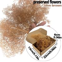 HO- und N-Maßstab: Anpassbare, gefärbte, konservierte Tumbleweed-Modellbäume für Eisenbahn-Sandtische und Dioramen – DIY-Material