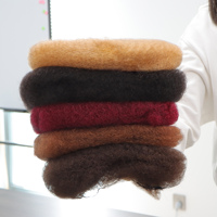 Offre Spéciale : Cheveux Humains Naturels en Vrac pour Tresses, Cheveux Humains Afro Crépus Doux pour Tresses et Vanilles