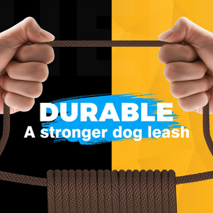 High Quality Classic Heavy Duty Dog <b>Training</b> <b>Lead</b> Leash No Pull Design Polypropylene Durable Pet Leash for Daily Dog Walking - Product Image 4