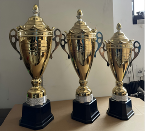 Wenzhou DM Proveedor profesional de trofeos de metal Trofeos de hierro 3364 de alta calidad Revestimiento UV personalizable Pantalla Su logotipo <span class=keywords><strong>Orgullo</strong></span> - Product Image 3