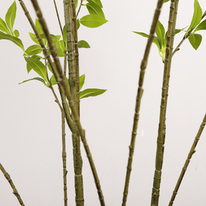 Árbol Artificial de Pieris Japonica de 154 cm, 175 cm, 200 cm de Altura, Hojas de Simulación Realista, Decoración de Plantas de Interior para Suelo - Product Image 3