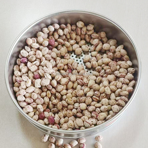 Cina origine Fagioli rossi maculati leggeri forma rotonda 160 170 Fagioli <span class=keywords><strong>Borlotti</strong></span> Biologici - Product Image 3